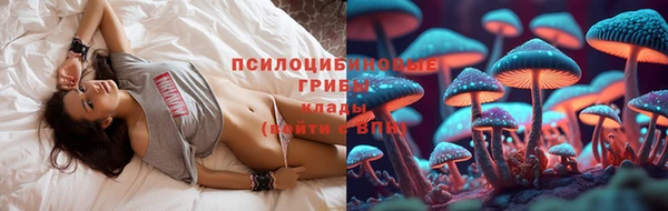 круглые Аркадак