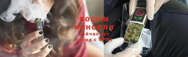 эйфоретик Арсеньев