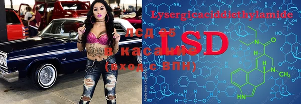 эйфоретик Арсеньев