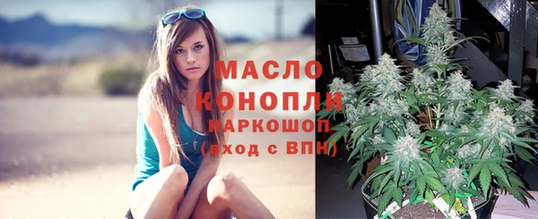 эйфоретик Арсеньев