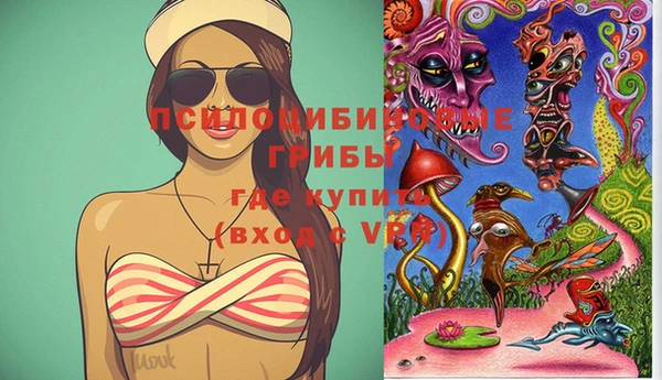 круглые Аркадак