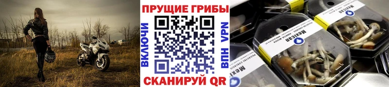 Псилоцибиновые грибы Magic Shrooms  Темрюк 